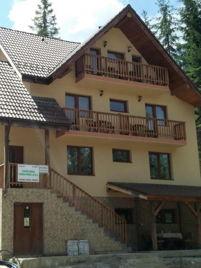 Hotel Vidra Parc Voineasa Exterior foto