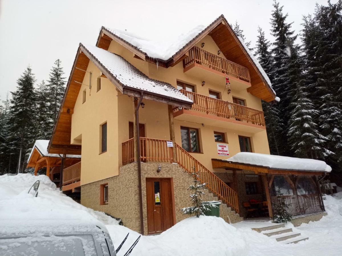 Hotel Vidra Parc Voineasa Exterior foto